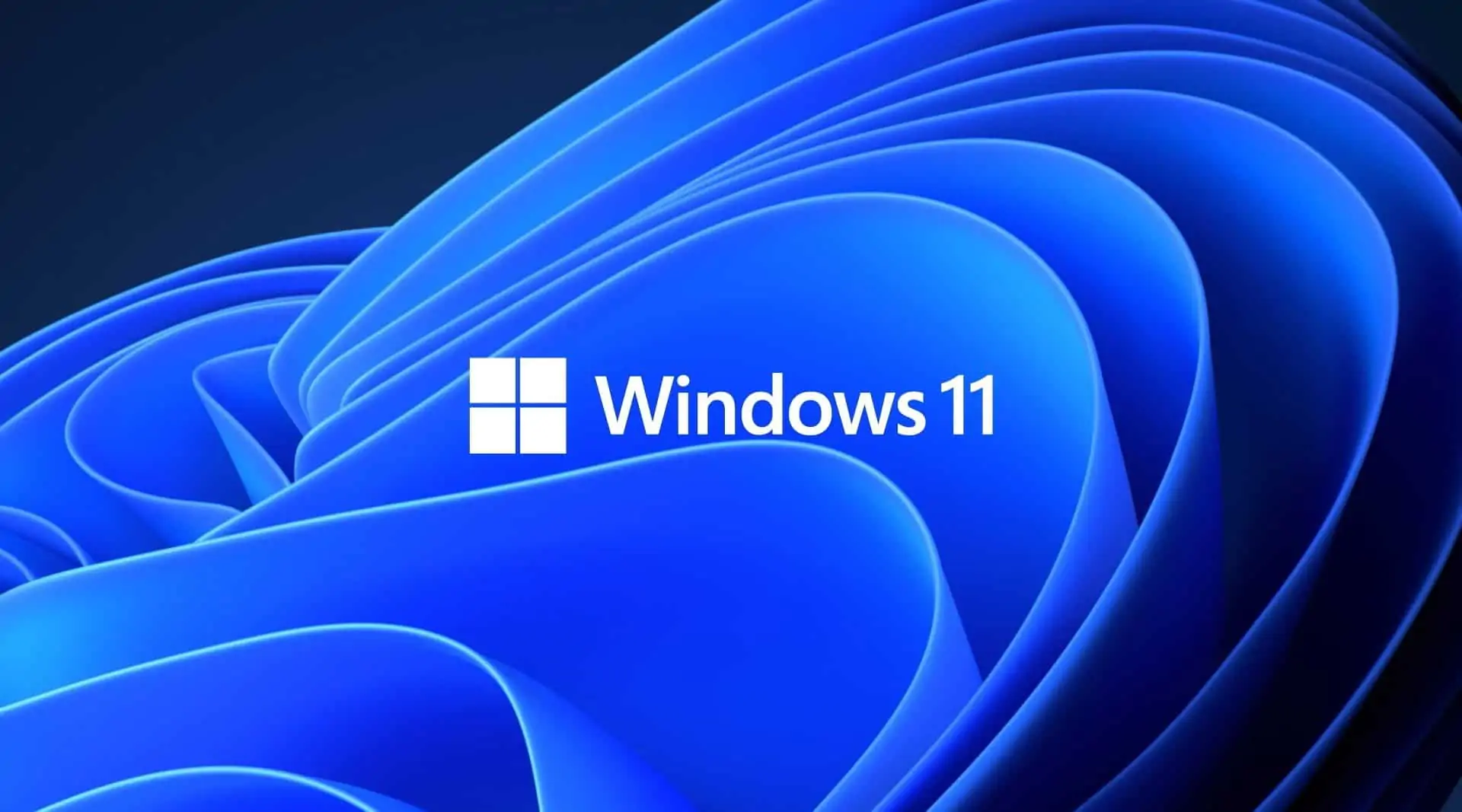 icone et texte "Windows 11" sur fond de vagues stylisés aux nuance bleu