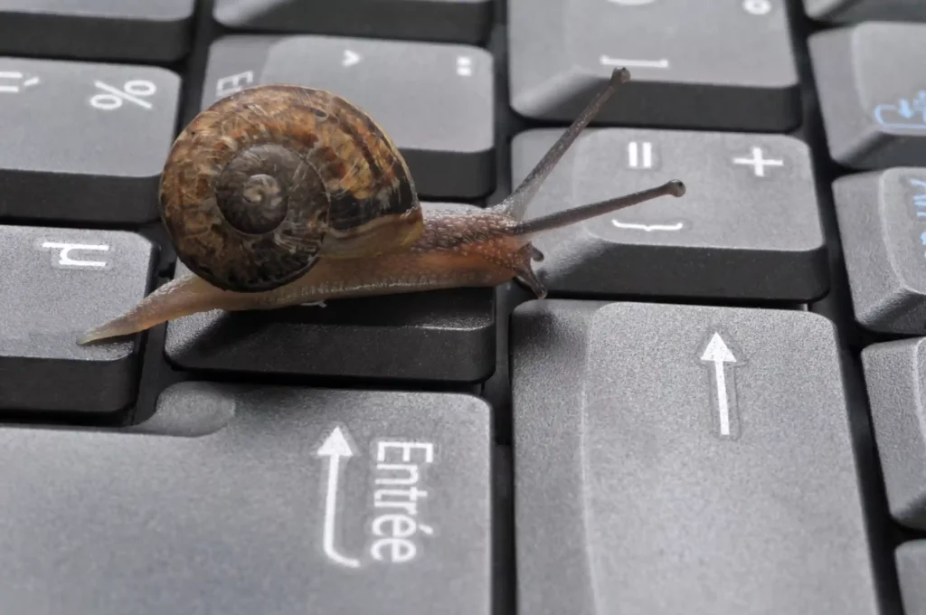 escargot sur un clavier