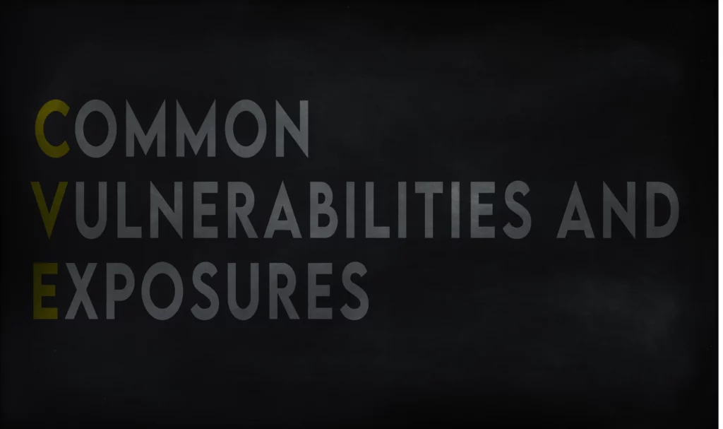 Common Vulnerabilities and Exposures