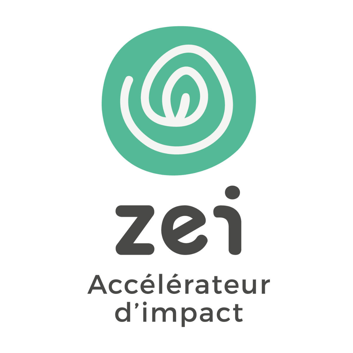 Logo zei accélérateur d'impact