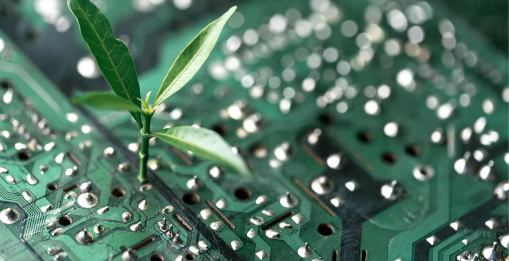 plante sur élément informatique