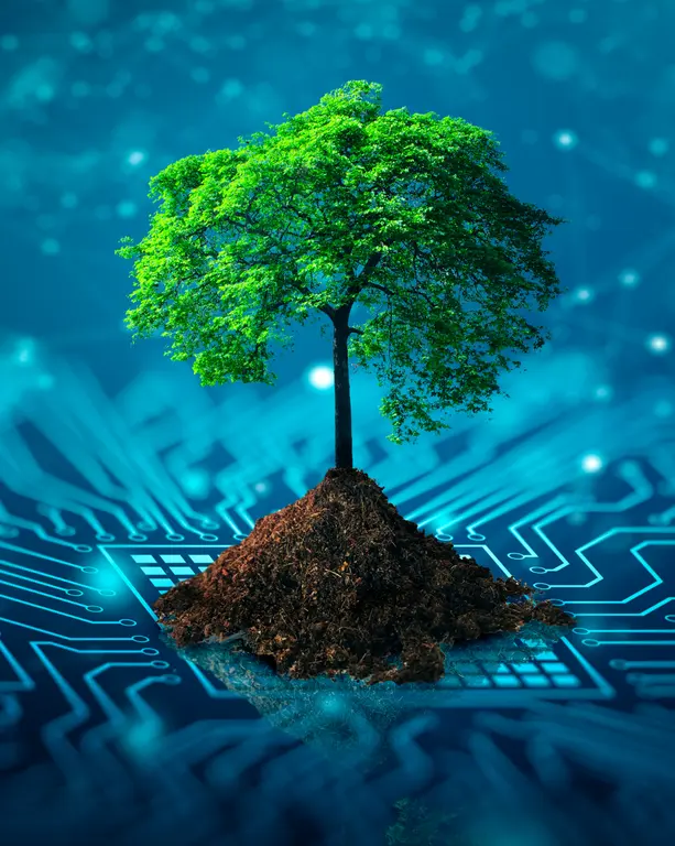 arbre dans un univers numérique